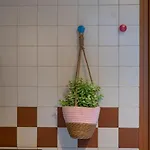 Apartament Perk - New @